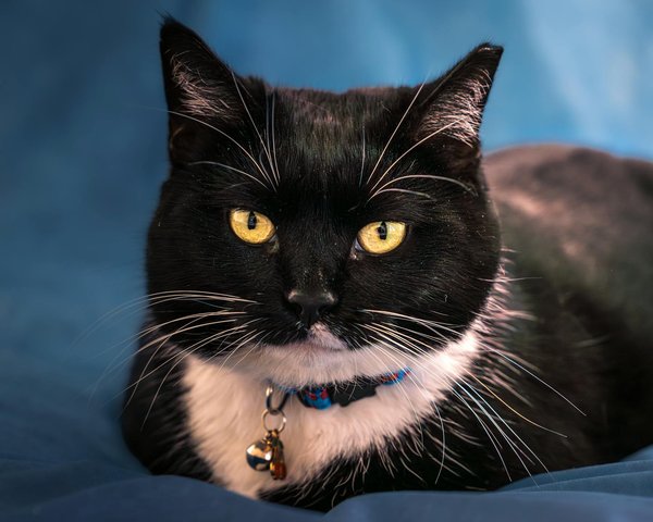 How Can Air Quality Improvements Benefit UK Health?