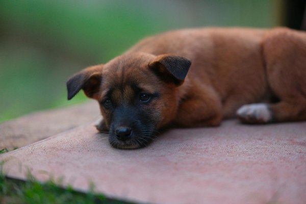 What Strategies Can Improve the Competitiveness of UK Enterprises?